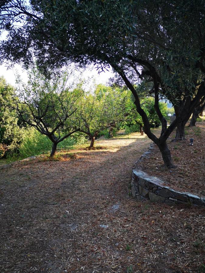 אולטה Villa Milanu מראה חיצוני תמונה